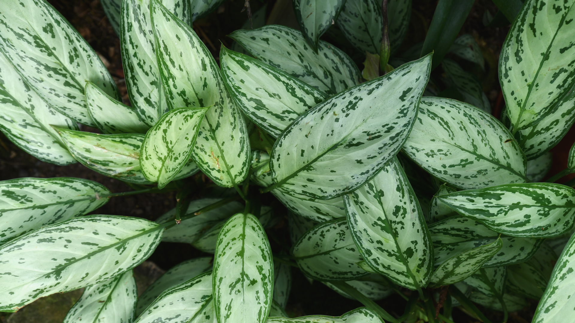 Ontdek ons assortiment